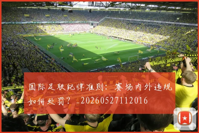 国际足联纪律准则：赛场内外违规如何处罚？_20260527112016